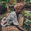 Les avantages de l'agriculture biologique